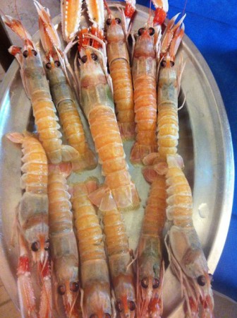 Scampi di Scoglitti