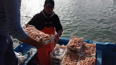 Pescato di Scoglitti da mio suocero