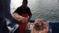 Pescato di Scoglitti da mio suocero